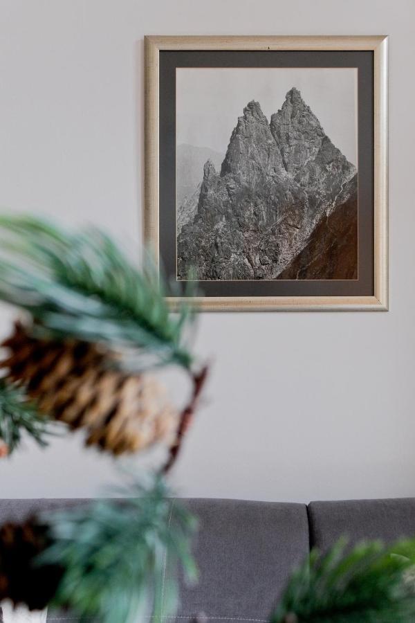 Apartamenty Tatra Club Centrum Zakopane Extérieur photo